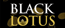 Visit Black Lotus Casino